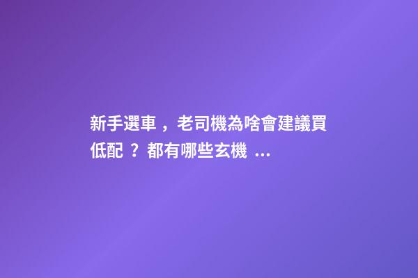 新手選車，老司機為啥會建議買低配？都有哪些玄機？